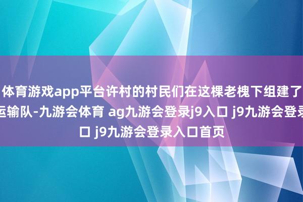 体育游戏app平台许村的村民们在这棵老槐下组建了担架队、运输队-九游会体育 ag九游会登录j9入口 j9九游会登录入口首页
