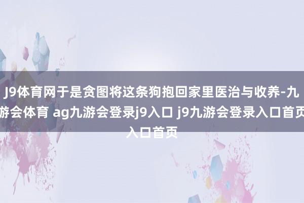 J9体育网于是贪图将这条狗抱回家里医治与收养-九游会体育 ag九游会登录j9入口 j9九游会登录入口首页