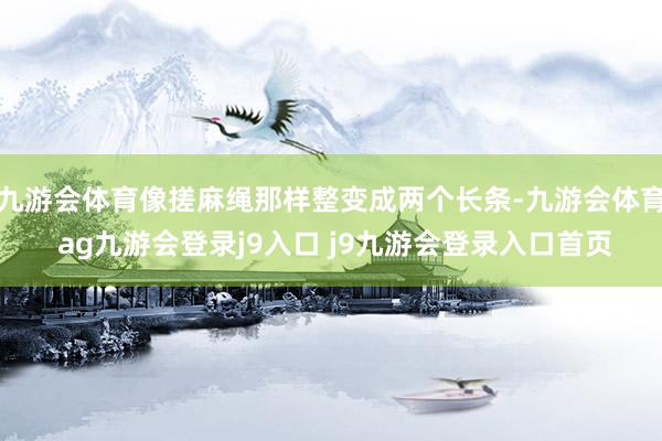 九游会体育像搓麻绳那样整变成两个长条-九游会体育 ag九游会登录j9入口 j9九游会登录入口首页