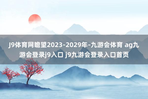 J9体育网瞻望2023-2029年-九游会体育 ag九游会登录j9入口 j9九游会登录入口首页
