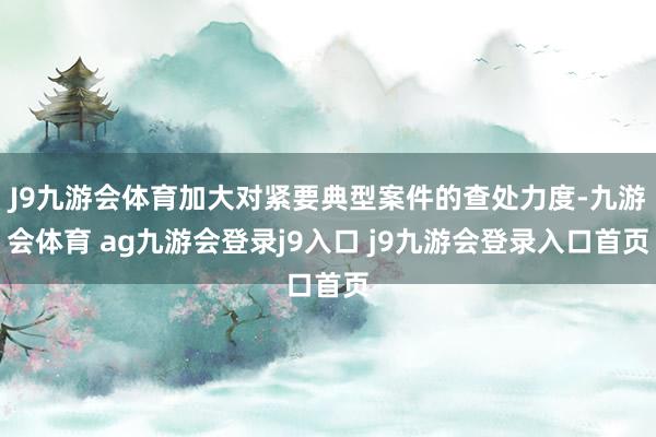 J9九游会体育加大对紧要典型案件的查处力度-九游会体育 ag九游会登录j9入口 j9九游会登录入口首页